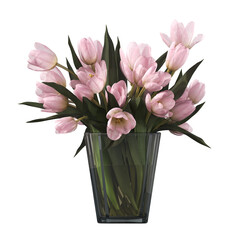 decorative flowers and plants for the interior, isolated on transparent background, 3D illustration, cg render