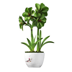 decorative flowers and plants for the interior, isolated on transparent background, 3D illustration, cg render