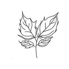 Single continuous line art of plant leaves. Sketch outline drawing vector illustration