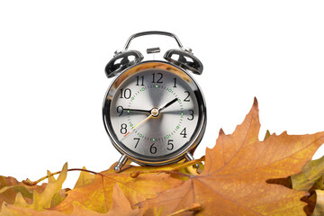 Alarm Clock on Leaves