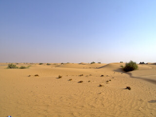Fototapeta na wymiar Sand dune landscape in Dubai