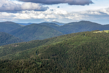 Fototapeta premium Les forêts dans les montagnes d'Alsace