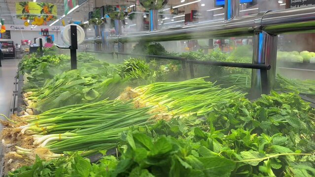 dill, parsley, celery in the supermarket