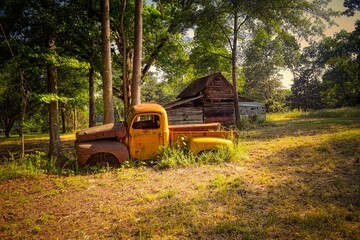 Old discarded yellow ford pickup truck and a barn