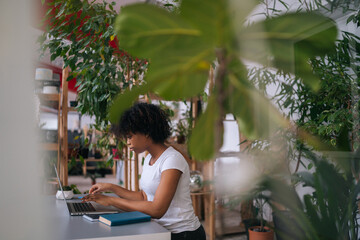 Side view of African young woman working typing on laptop computer sitting at desk in home office room with modern biophilia design, on background of green plants. Concept of house garden.
