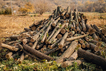 Logs of chopped stacked firewood stacks. Woodpile preparation for cold winter