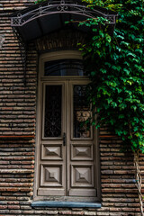 Old door with ivy plant
