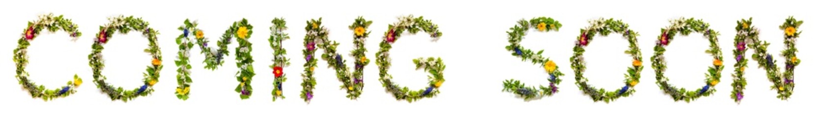 Blooming Flower Letters Building English Word Coming Soon