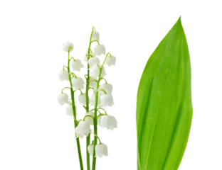 Kussenhoes Lilly of the valley © neirfy