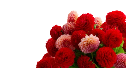 Foto auf Acrylglas Dahlia flowers bouquet © neirfy