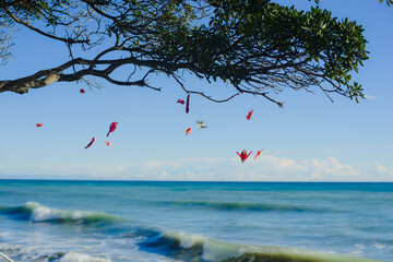 Red origami figures on a tree branch by the sea