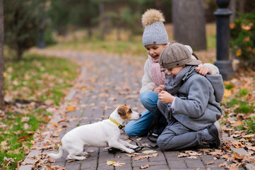 Fototapeta premium Caucasian boy and girl posing sitting on sidewalk with jack russell terrier dog in park in autumn.