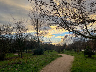 Fototapeta na wymiar Atardecer en invierno. Camino atravesando un parque. Cielo con nubes al atardecer. Arboles en invierno sin hojas. 