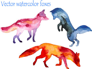 Vector watercolor foxes. Bright colors, spots, blots. - 568163883