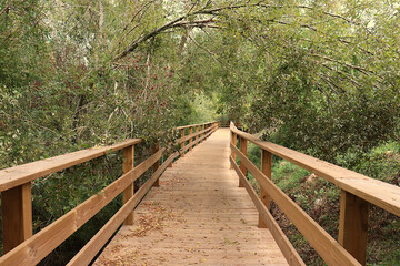 Agroal wooden path in Portugal. Path surrounded by trees and bushes, next to Nabão river.