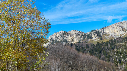 Autumn in the mountains. Rocky Mountains.