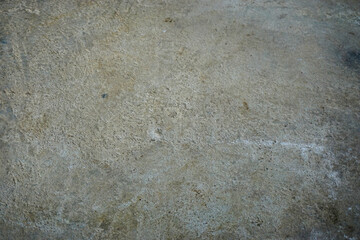 Stock photo with empty space over orange tree, orange field background. For product display montage