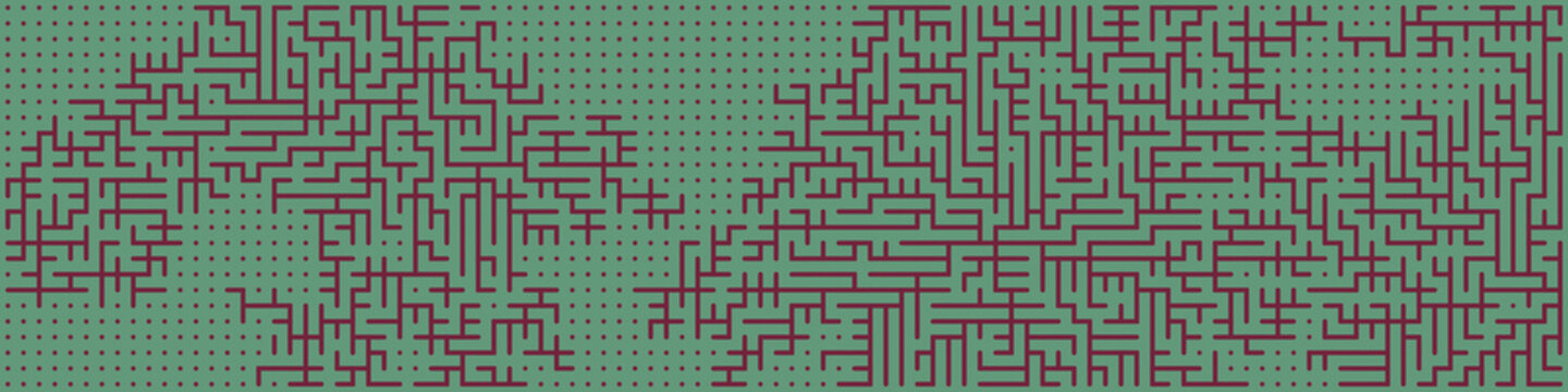 Albert-Laszlo Barabasi algorithm network visualization implementation illustration
