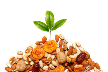 Dried fruits and nuts, branch with young green leaves on white background . Concept of the Jewish holiday Tu Bishvat. Copy space - obrazy, fototapety, plakaty
