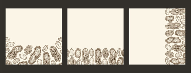 Vector peanuts banners with copy space. Peanuts seeds and shells illustration