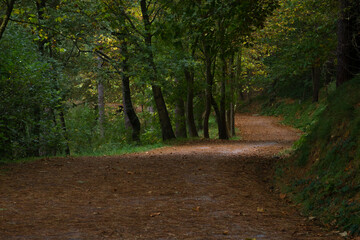 Lonely mountain track in the autumn time