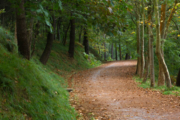 Obraz premium Lonely mountain track in the autumn time