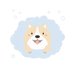Cute shiba inu dog having a bath with a foam and bubbles. Vector illustration of a funny washing pet