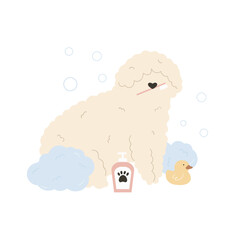 Cute fluffy dog taking washing procedures with a foam and bubbles. Vector illustration of a funny washing pet