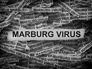 Strips of newspaper with the words Marburg Virus typed on them. Black and white.