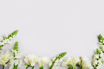 Spring holiday mockup. Natural white freesia flowers and green leaves on light grey background....