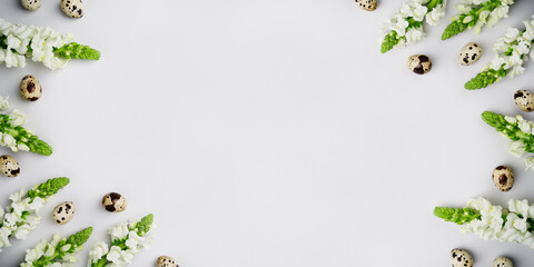Easter holiday banner mockup. Natural quail eggs with white flowers and green leaves on light grey background. Fresh eco layout. Spring holiday composition. Top view, copy space, flat lay.