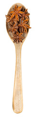 Asian colorful spices in wooden spoons