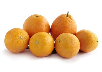 sweet and juicy citrus fruits close up