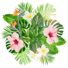 tropical leaves  and flower sisolated, png file