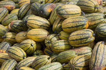 Gourds stacked outdoors at farmer's market.