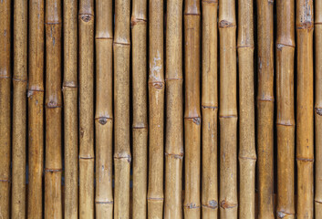 Bamboo walkway in the garden