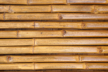 Bamboo walkway in the garden