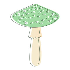 Green Amanita mushroom. Edible Organic mushrooms. Truffle brown cap. Forest wild mushrooms types.