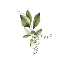 Watercolor floral bouquet. Hand painted set of forest greenery, wildflowers, herbs. Green leaves, branches, foliage isolated on white background. Botanical illustration for design, print or background
