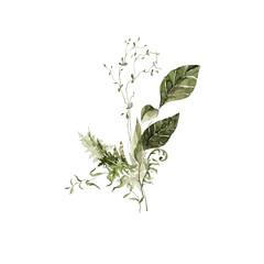 Watercolor floral bouquet. Hand painted set of forest greenery, wildflowers, herbs. Green leaves, branches, foliage isolated on white background. Botanical illustration for design, print or background