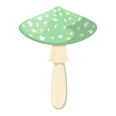 Green Amanita mushroom. Edible Organic mushrooms. Truffle brown cap. Forest wild mushrooms types.