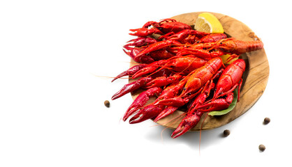 Fototapeta premium Crayfish, Crawfish closeup. Red boiled crayfish in a wooden plate with herbs and lemon isolated on white background. Crawfishes. Fresh Lobster closeup. 
