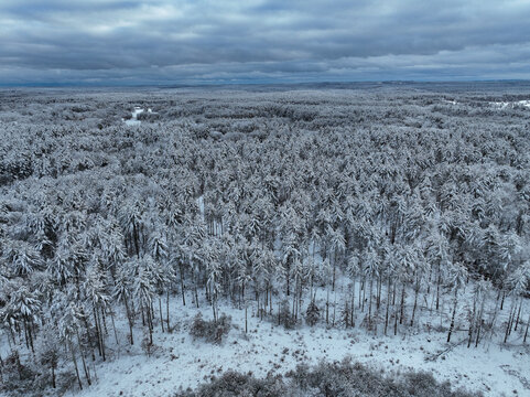 aerial landscape of forest after snow
