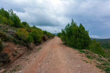 Fototapeta na wymiar Country road at Penteli mountain at Attica, Greece.
