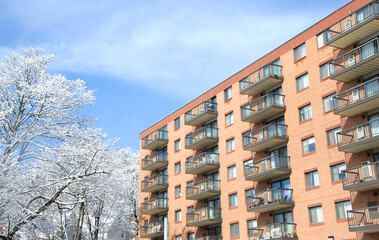 apartment building and tree branches after snow