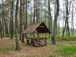 wooden gazebo picnic in the pine forest