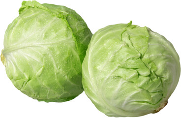 Fototapeta premium Cabbage - isolated image
