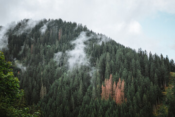 Majestic mountains in the Alps covered with trees and clouds