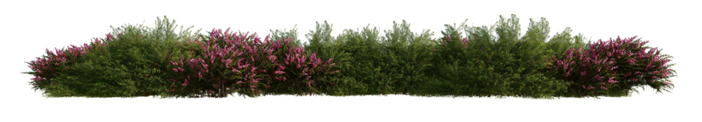 line bushes and flowers isolated on transparent  background PNG's. 