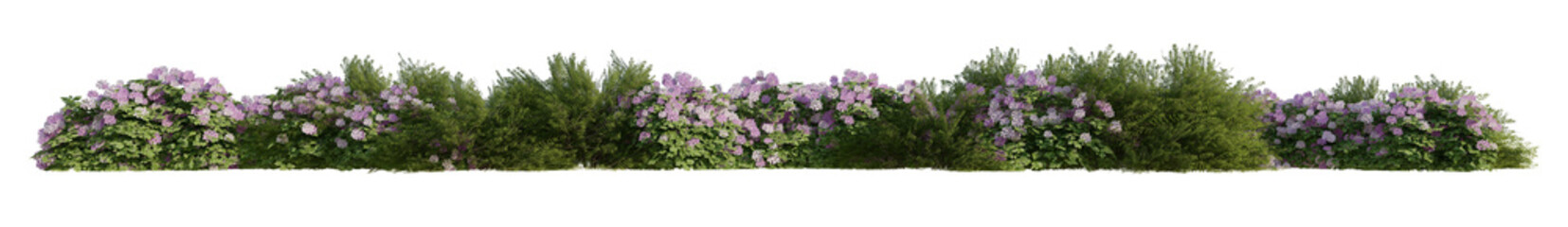 Obraz premium line bushes and flowers isolated on transparent background PNG's. 